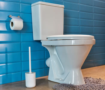 Toilet Refurbishments by WSC Plumbing in Reading